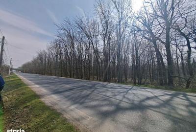 Spațiu comercial, în Ciorogârla - 7