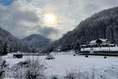 Casă cu 4 camere cu Teren 6000 Mp în Vața de Jos - 2