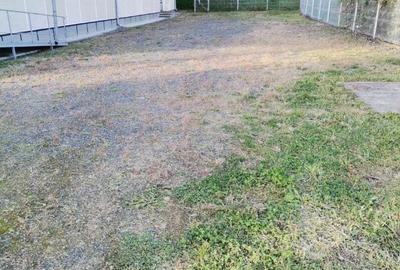 Vand casa P+1 446mp in Ocoli?, Maramure?, teren 1000mp Vand casa P+1 446mp in Ocoli?, Maramure?, teren 1000mp - 6