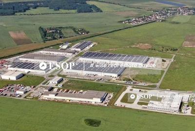 PWP Bucharest North, hale depozitare, productie, 2.000-86.000mp - 2