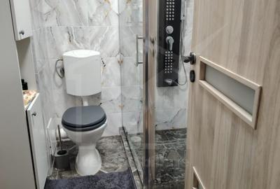 Apartament cu 3 camere decomandat, mobilat în Florești - 10