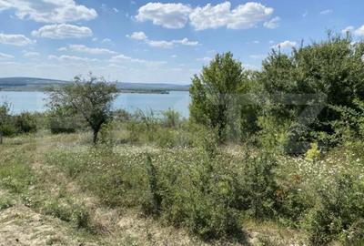 Teren de 3800 mp, în Recea - 7