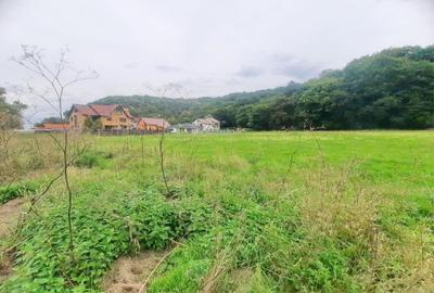 Teren superb Rasnov str Izvorului Cartierul Primaverii - 11