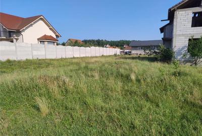 Casă cu 4 camere cu Teren 1000 Mp în Alparea - 1