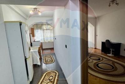 Apartament cu 2 camere semidecomandat, mobilat în Rovine - 7