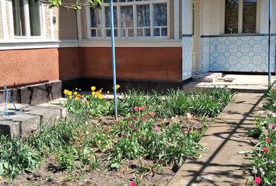 Casa de vanzare in comuna Valea Larga, jud. Mures. - 1