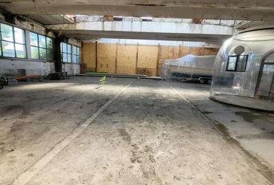 Spațiu comercial, de 558 mp, în Buzaului - 1