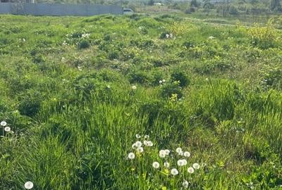 Teren Construcții intravilan de 1400 mp, în Preajba - 8