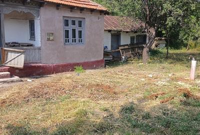 Casă cu 3 camere cu Teren 790 Mp în Stăncești - 3