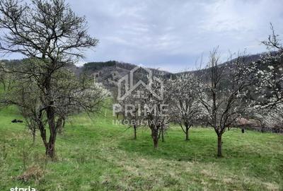 Spațiu comercial, în Inuri - 4