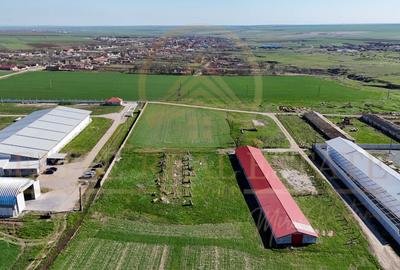 Tariverde - Ferma zootehnica functionala, 3 hectare teren intravilan! - 3
