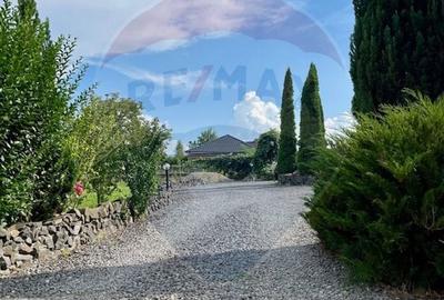 Casă individuală cu 6 camere cu Teren 1364 Mp în Ocna Șugatag - 22