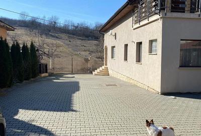 Casă cu Teren 1905 Mp în Stejeriș - 20