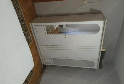 Apartament cu 2 camere semidecomandat în Tia Mare - 3