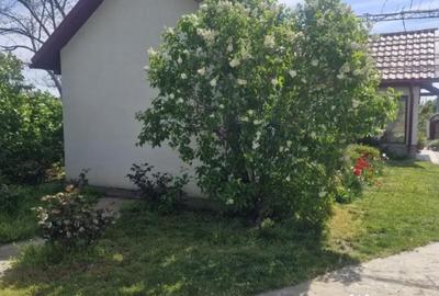 Casă cu 3 camere cu Teren 890 Mp în Merei - 2