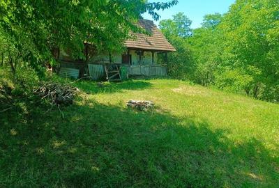 0 COMISION  Teren cu potențial și liniște in Corusu - 5
