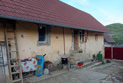 Casă cu Teren 1900 Mp în Laslea - 5