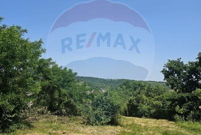 Teren  intravilan  de vanzare Oras  Saliste  Strada Livezii Jud. Sibiu - 9