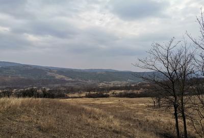 Vănd Teren Extravilan Dănulești, Jud. Buzău 9700 mp - 3