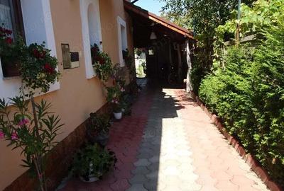 Vand casa in Deva P+M, zona centrala (foarte buna), suprafata totala de teren 360 mp, mobilata - 19