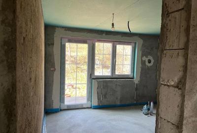 Casă cu Teren 7800 Mp în Ibănești - 3