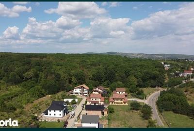 Teren deosebit, langa padure - 3