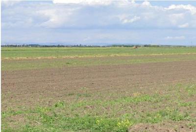 Teren extravilan Cocorastii Colt ; ID: R2710069 - 6