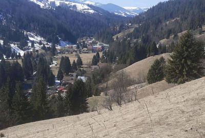 Teren de 3876 mp, în Gârda de Sus - 4