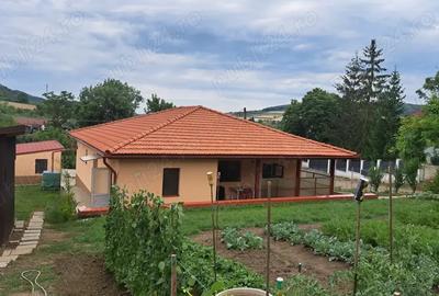 Vind casa urgenin Ceuasu de Cimpie 4 camera, living+bucatarie, bucataria mica,2 bai,2 garai,2 terasa - 3