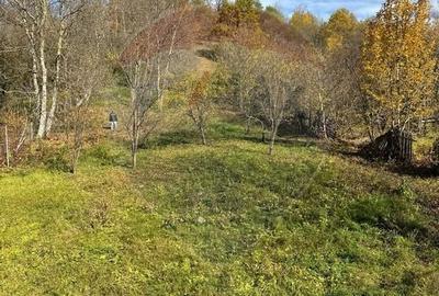 Casa / Vila la gri in Pangarati Neamt - 31