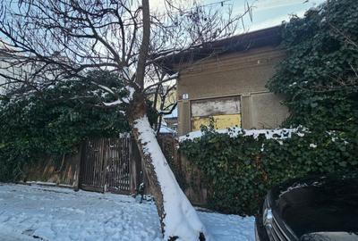 Teren patrat, strada linistita langa Ciuperca Domenii - 9