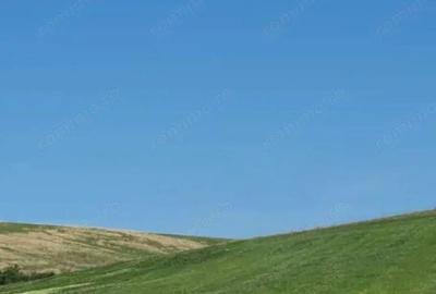 Teren de 10000 mp, în Rogova - 1