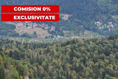 VANZARE TEREN INTRAVILAN SINAIA-CUMPATU Strada Zamora-9.801 mp-Comision 0% - 16