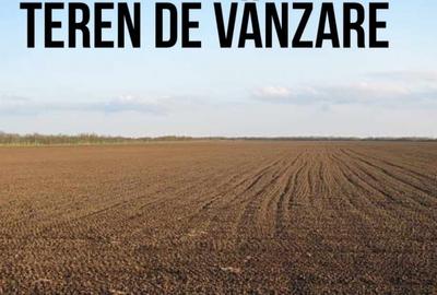 Teren de 937 mp, în Ion Creangă