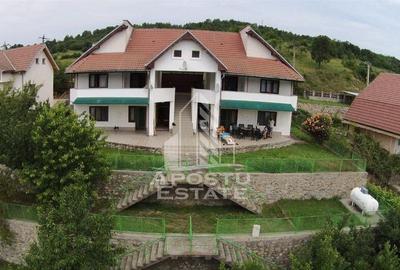 Casa individualapretabil pensiune pe Clisura Dunarii - 18