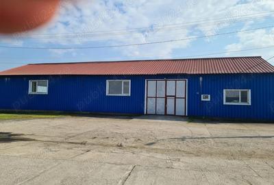 Spațiu comercial, de 700 mp, în Central - 6