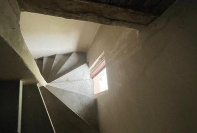 Villa Interblica - Parcul Carol Villa Interblica - Parcul Carol - 49