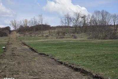 Spațiu comercial, în Central - 3