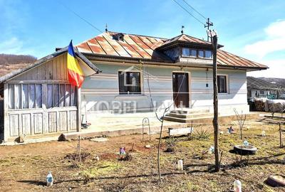 Casă cu 4 camere cu Teren 9528 Mp în Șișcani - 16