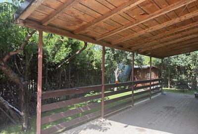 Casă cu 4 camere în Ghighiu - 3