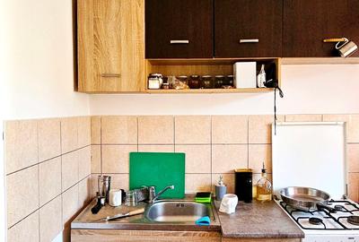Apartament 1 camera, etaj 3, mobilat si utilat, cartier Lenin - 6