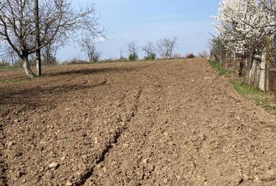 Casă cu 3 camere în Săuca - 5