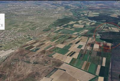 Giroc Teren 30.000mp PUZ APROBAT Pentru Case | Asfalt - Langa Padure - 7