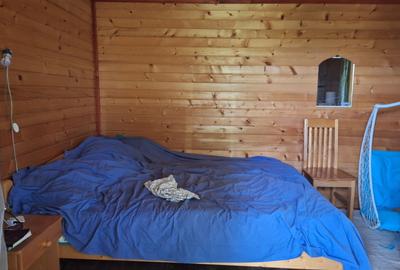 VANZARE ANSAMBLU CASUTE BRADULET ARGES - 5