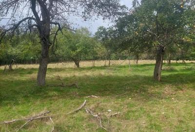 Teren de 15826 mp, în Central - 11