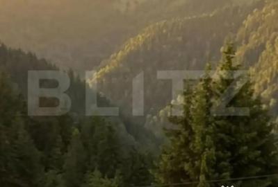 Teren în Mărișel - 5