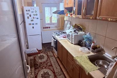 Buzias Timis apartament cu 1 camera de vanzare complet mobilat si izolat - 6