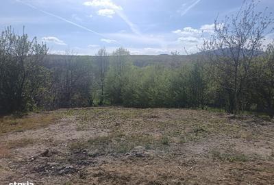Spațiu comercial, în Rășinari