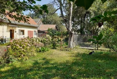 Casa 3 camere, teren 3625 mp, toate utilitatile, Sacele, Brasov - 3