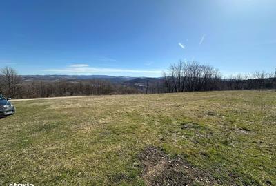 Spațiu comercial, în Central